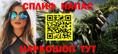 сатива Гусев