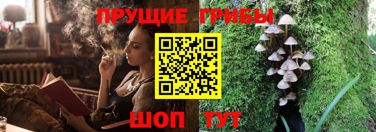Псилоцибиновые грибы мицелий Назарово